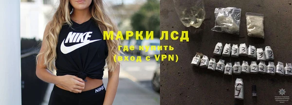 стаф Ростов