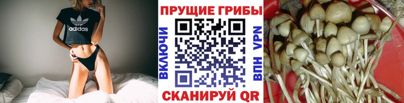 Псилоцибиновые грибы Magic Shrooms  Заозёрный 